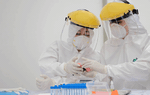 Phát hiện 6 người nhiễm COVID-19, Hà Nội có 3 trường hợp 