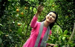 Dịch Covid-19 được khống chế, thị trường du lịch Tết bật tăng trở lại