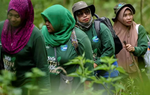 Những “nữ chiến binh” bảo vệ rừng ở Indonesia