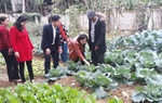 Mô hình 'Nhà sạch - vườn mẫu' đảm bảo vệ sinh an toàn thực phẩm, góp phần xây dựng nông thôn mới kiểu mẫu