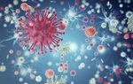 Mất Giáng sinh vì virus gây Covid-19 biến thể, có nguy cơ lây lan nhanh tới 70%