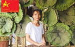 Canh tác thuận tự nhiên để làm ra trà hữu cơ hảo hạng