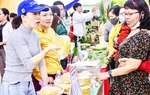 Khánh Hòa: Kết nối các ý tưởng khởi nghiệp