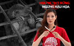 Khánh Vân, Trọng Hiếu cùng nhiều nghệ sĩ lên tiếng bảo vệ động vật hoang dã