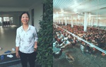 Thoát nghèo nhờ sự nhạy bén