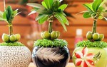 Những loại cây nghe tên đã thấy giàu, đặt bàn làm việc giúp thêm may mắn