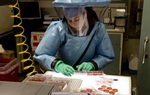 Virus phòng thí nghiệm nếu để "sổng chuồng", nhân loại có thể đối diện đại dịch chết người