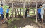 Xử lý rơm rạ, rác thải thành phân vi sinh giúp hạn chế ô nhiễm môi trường và tăng năng suất cây trồng