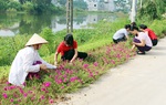 Gần 6.000 xã đạt tiêu chí về môi trường nông thôn mới