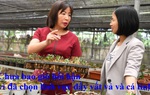 Nữ Tiến sĩ được trao Giải thưởng Kovalevskaia 2019: "Chưa bao giờ hối hận vì đã chọn lĩnh vực đầy vất vả và cá tính"