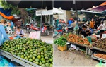 Đầu mùa vải giá 50.000 đồng/kg bán khắp các chợ, cam Sài Gòn có giá rẻ bất ngờ