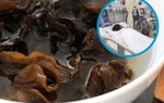 Người phụ nữ tử vong vì một sai lầm khi ăn mộc nhĩ