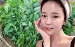 Dùng rau ngót giã nát rồi uống, mụn bọc xẹp sau 2 tuần, mỡ thừa tiêu biến