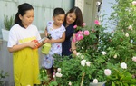 Chơi hoa hồng - “hot trend” giải trí của phụ nữ 