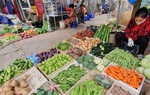 Ngày 26/5: Giá rau củ đồng loạt giảm "sốc", các loại củ 5 ngàn đồng/kg, mùng tơi, rau dền chỉ 1 ngàn đồng/mớ, bà nội trợ phấn khởi