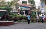 Bộ trưởng GD&ĐT đề nghị đảm bảo an toàn trong nhà trường sau vụ cây đổ đè chết học sinh