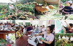 Hành trình của niềm tin và sứ mệnh vì người nghèo