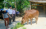 Trao “cần câu” cho hộ nghèo vùng khó