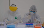 1 phụ nữ vượt biên từ Trung Quốc về Việt Nam nghi nhiễm Covid-19, Bộ Y tế phát thông báo khẩn