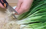 Mua nhiều hành lá về ăn không hết, hãy làm ngay cách này sẽ để được nửa năm