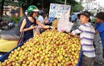 2 năm thí điểm quản lý cửa hàng trái cây, Hà Nội đạt những gì?