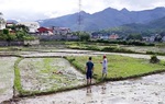 Án mạng kinh hoàng ở Điện Biên, 3 người tử vong
