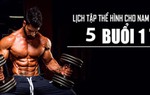 Lịch tập gym cho nam mới bắt đầu giúp tăng cơ giảm mỡ hiệu quả