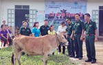 Tặng bò giống cho phụ nữ nghèo