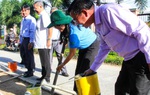 Hậu Giang: Hơn 62 nghìn hộ gia đình đạt 3 tiêu chí "3 sạch"