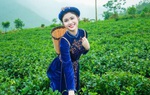 Kích cầu du lịch Thái Nguyên gắn với Vòng cung Đông Bắc