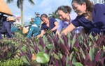 Nâng cao nhận thức cho cán bộ, hội viên phụ nữ về bảo vệ môi trường