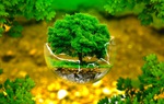 Ngày Môi trường thế giới năm 2020: Nỗ lực lan tỏa “hành động xanh"