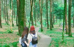 “Trốn nóng” cuối tuần ở Vườn Quốc gia Ba Vì 