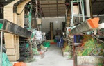 Chưa có giải pháp triệt để khắc phục ô nhiễm ở làng nghề dệt chiếu Hới