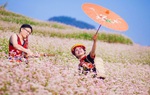 Hà Giang giảm giá tới 50% nhiều dịch vụ để kích cầu du lịch