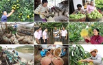 Tiếp ngọn lửa thi đua, thổi bùng sức mạnh tín dụng chính sách xã hội