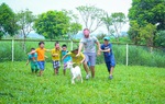 Nhiều tour trải nghiệm ngắn ngày đợi trẻ dịp hè