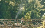 Đi Đà Lạt nhiều nhưng bạn có biết những điểm đến này?