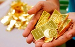Giá vàng cuối tuần neo ở mức 49,9 triệu đồng/lượng, chuyên gia dự báo xu thế tuần sau