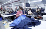 1/8: Hiệp định EVFTA chính thức có hiệu lực mở ra cơ hội vàng cho doanh nghiệp Việt