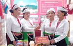Điểm tựa hỗ trợ phát triển kinh tế của phụ nữ dân tộc Dao ở Hòa Bình