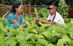 Nguồn vốn ưu đãi từ NHCSXH tỉnh Đắk Nông tiếp sức làm giàu