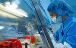 Bất chấp nghi ngại về vaccine Covid-19 của Nga, nhiều nước vẫn đua nhau đặt hàng