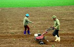 Hộ gia đình, cá nhân bị ảnh hưởng Covid-19 được giảm tiền thuê đất