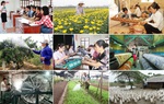 Hội tụ sức mạnh hệ thống thực thi tín dụng chính sách xã hội