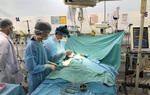 Kỹ thuật ECMO cứu sống bé gái 3 tuổi bị viêm cơ tim tối cấp
