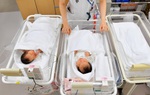 Covid-19 khiến tỷ lệ sinh dự kiến giảm 10% ở Nhật Bản và Mỹ 