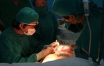 Có ý định tái tạo vòng 1, chị em cần ghi nhớ những điều này