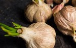 Chuyên gia chỉ rõ loại rau củ mọc mầm hại như thuốc độc và những loại quý hơn thuốc bổ