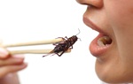 Bé trai 3 tuổi bị sốc phản vệ nguy kịch do ăn dế chiên giòn